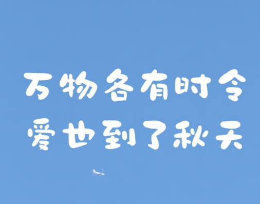 龔帆酸奶布丁體